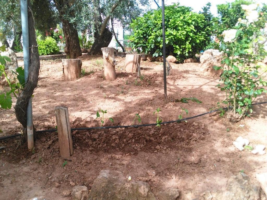 Alojamientos Rurales La Loma Pozo Alcón Екстериор снимка