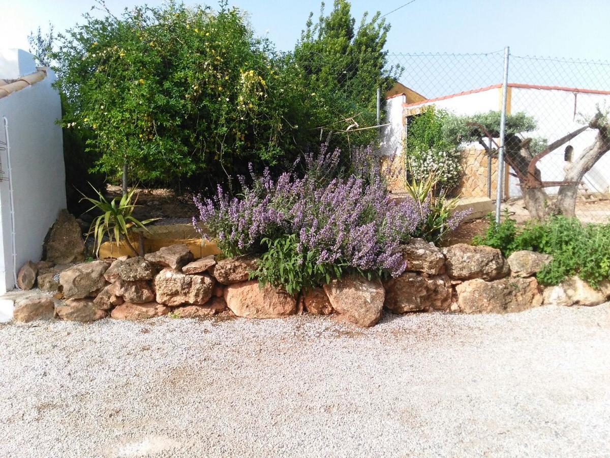 Alojamientos Rurales La Loma Pozo Alcón Екстериор снимка