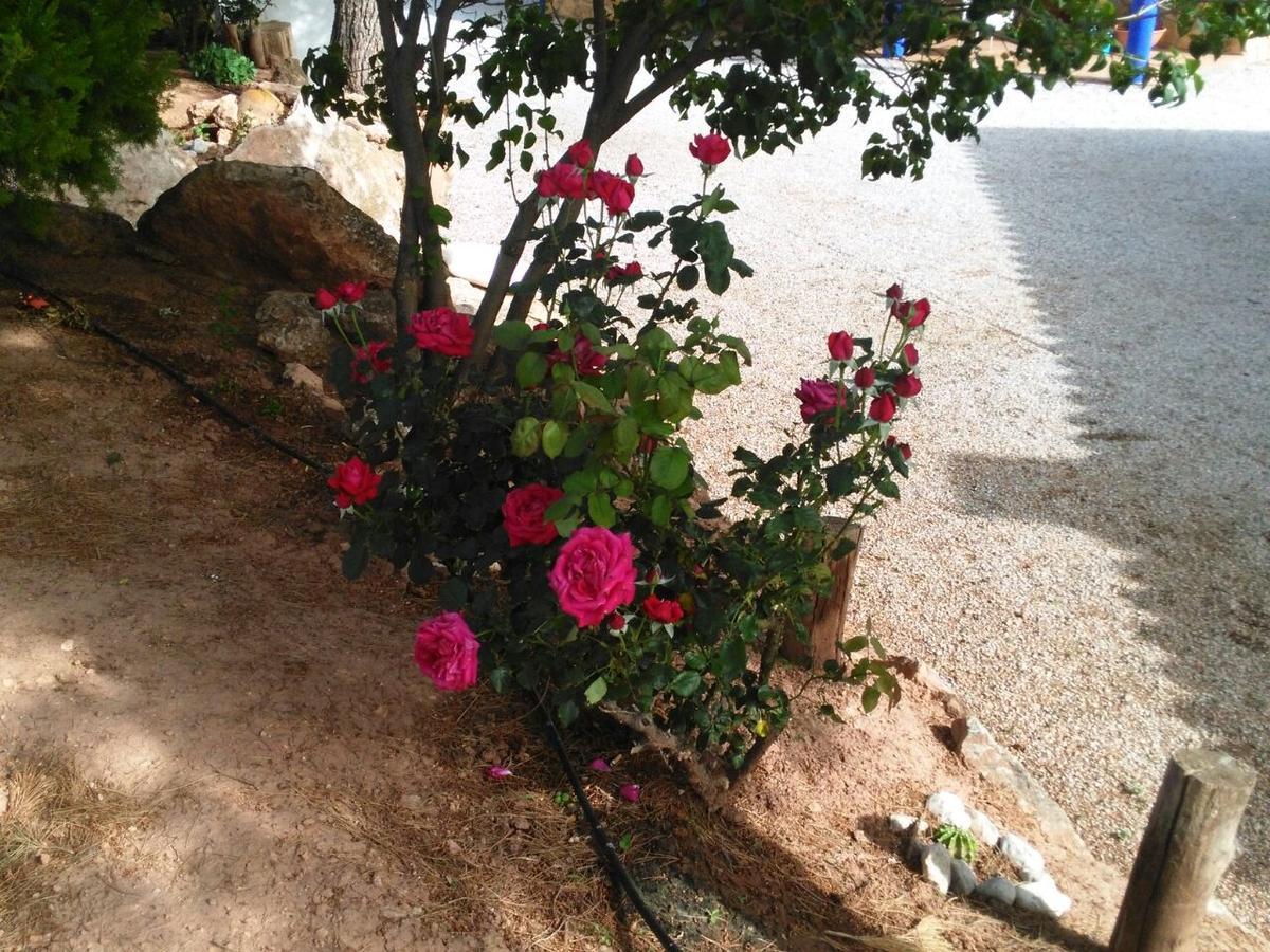 Alojamientos Rurales La Loma Pozo Alcón Екстериор снимка